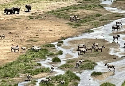 4 Days Safari Ngorongoro, Tarangire, Serengeti Safari