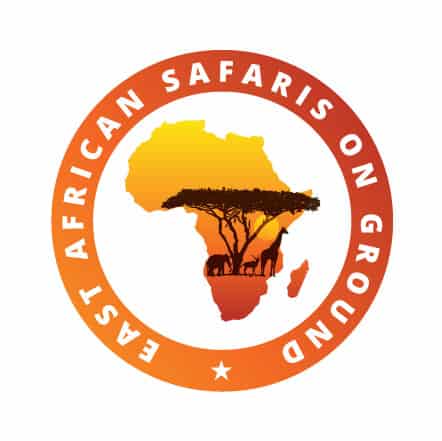 East African Safaris On Ground
