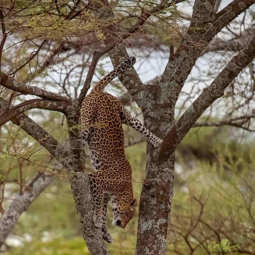 Img 20220702 103121 991