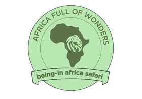 Being In Africa Safari