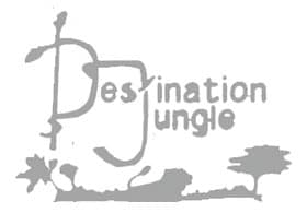 Destination Jungle