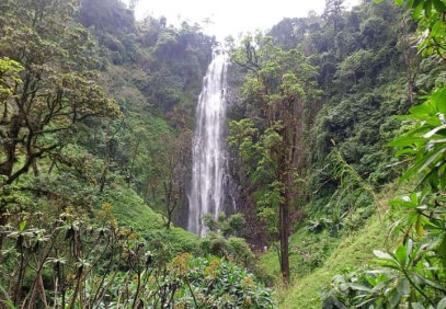 Day Trip to Materuni Waterfall and Coffee Tour