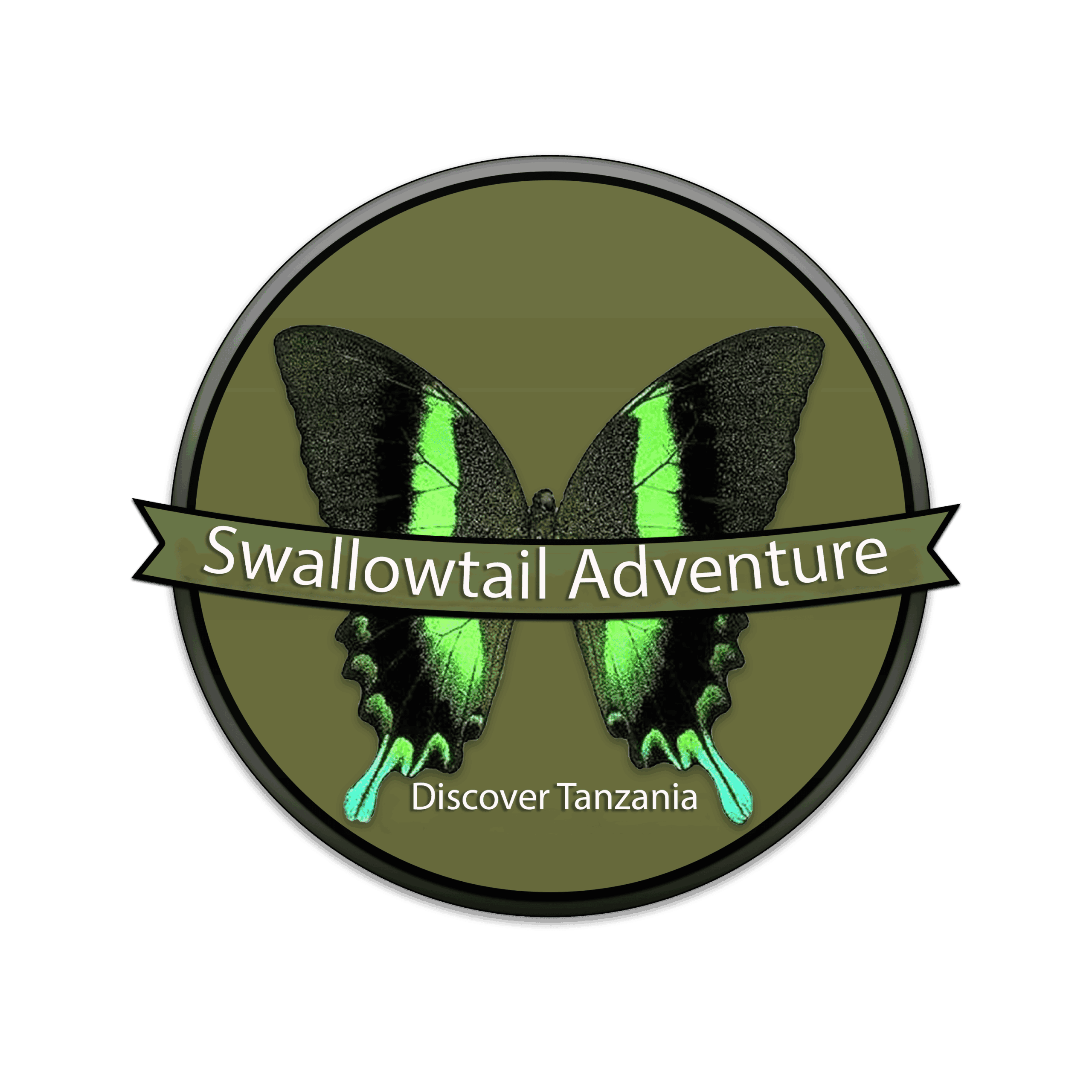 Swallowtail Adventure