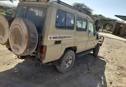 5-Day Serengeti Safari Experience
