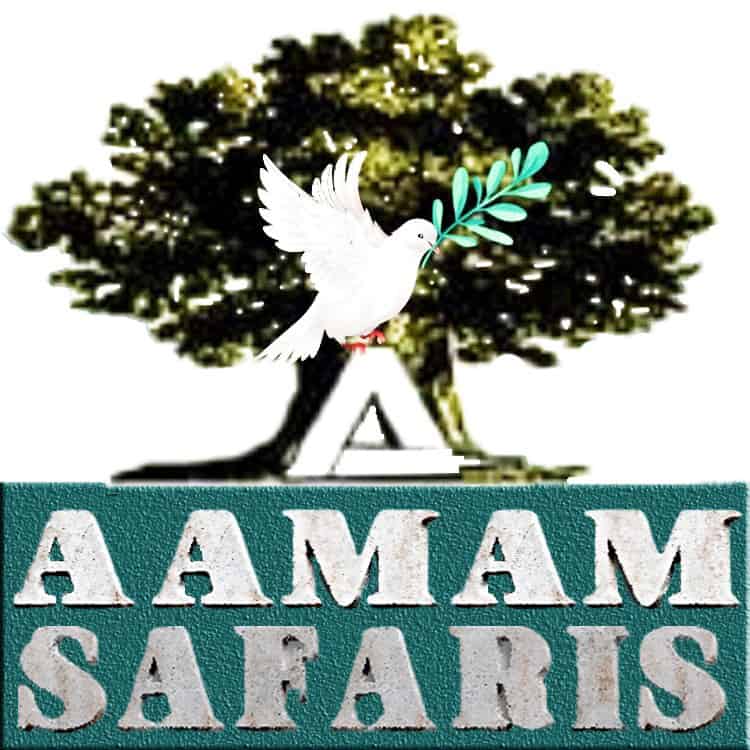 Aamam Tours