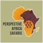 Perspective Africa Tours & Travel