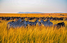 3 Days Masai Mara Safari