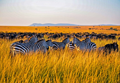 3 Days Masai Mara Safari
