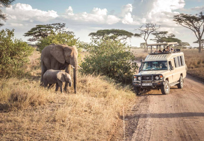 3-Day Tarangire, Ngorongoro & Lake Manyara from Zanzibar