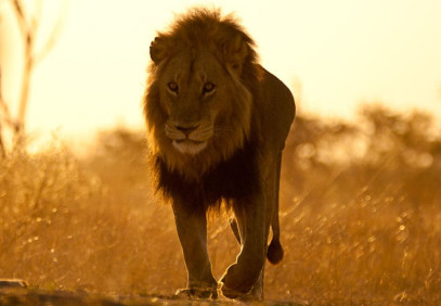 12-Day Kenya Classic Safari