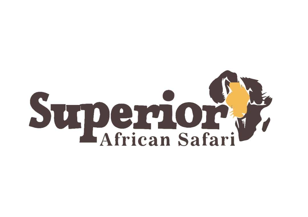 Superior African Safari