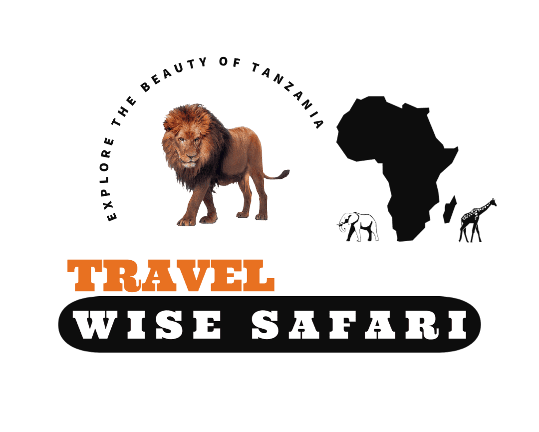 Travel Wise Safari
