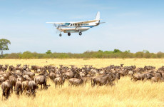 3-Day Direct Fly-in to Serengeti National Park