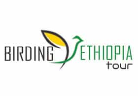 Birding Ethiopia Tours