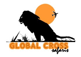 Global Cross Safaris