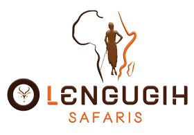 Olengugih Safaris