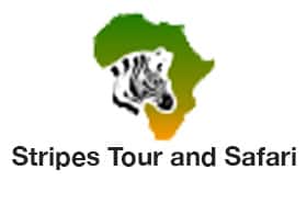 Stripes Tour and Safari