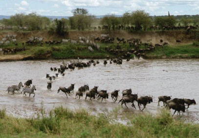 7-Day Masai Mara, Nakuru, Naivasha & Amboseli Safari