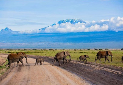7 Days Amboseli, Lake Naivasha, Nakuru & Masai Mara Safari