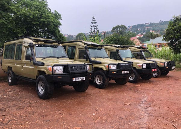 Landcruiser Jeeps