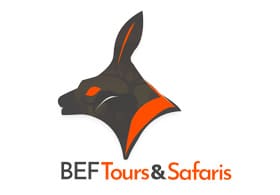 Bat-eared Fox Tours and Safaris