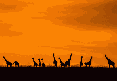 Tarangire National Park Day Trip