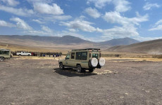 5 Days Best Tanzania Honeymoon Safari