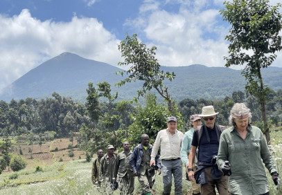 Once-in-a-Lifetime Gorilla Experience