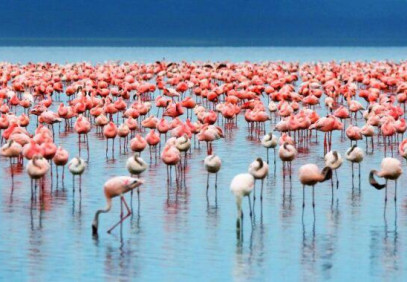 2-Day Lake Manyara & Ngorongoro Camping Tour