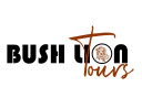 Bush Lion Tours