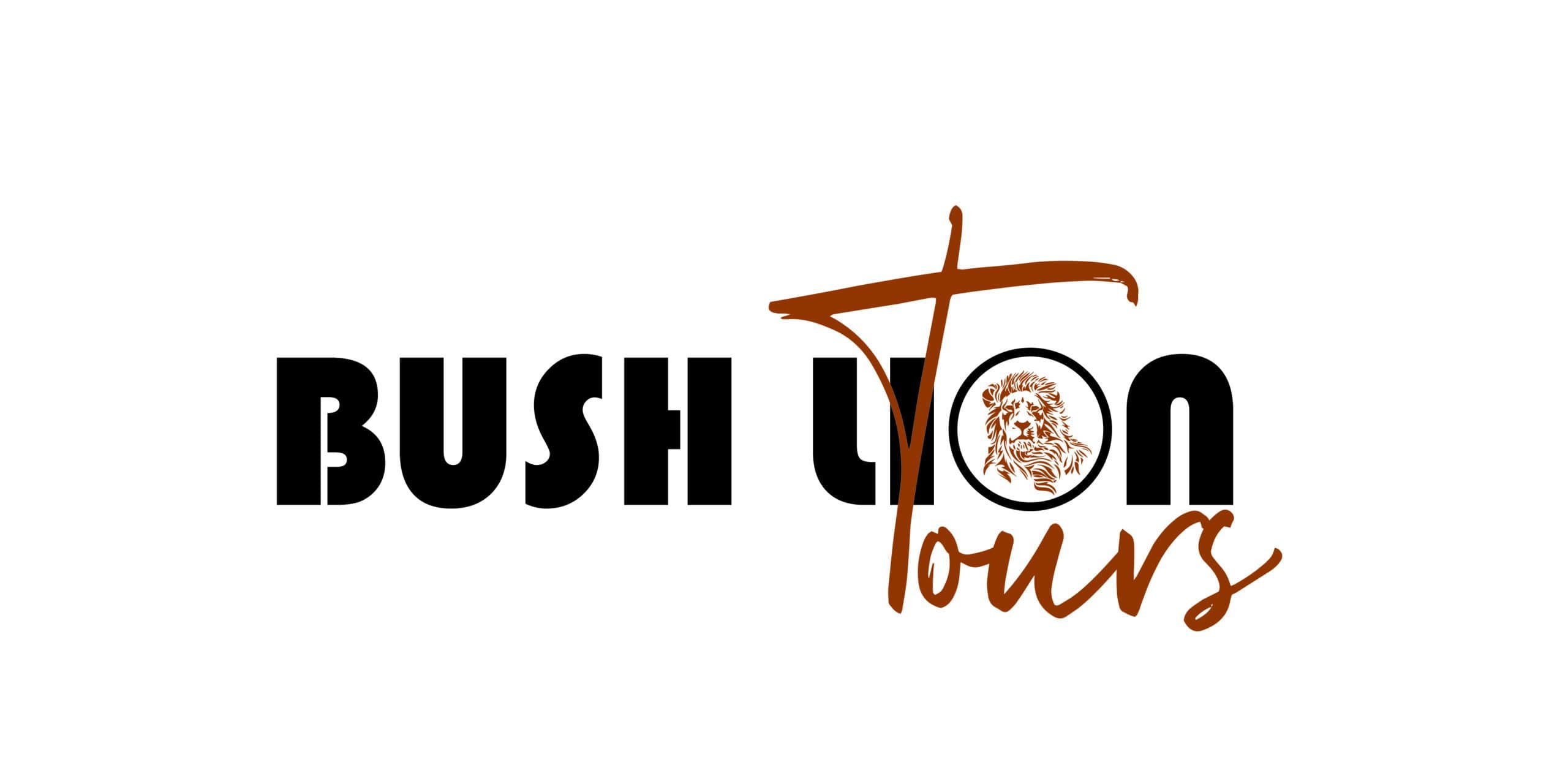 Bush Lion Tours