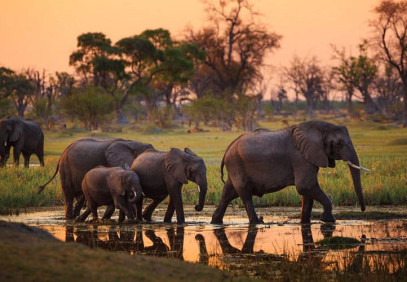 6-Day Camping Highlights of Tanzania