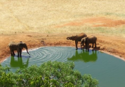 View Voi Safari Lodge