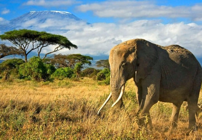 3-Day Amboseli National Park Private Tour