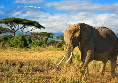 3-Day Amboseli National Park Private Tour