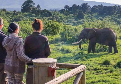1-Day Fly-in Safari Zanzibar to Mikumi National Park