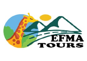 Efma Tours & Safaris