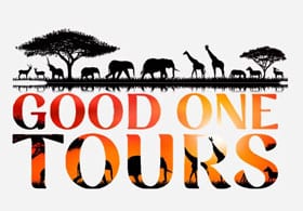 Good One Tours