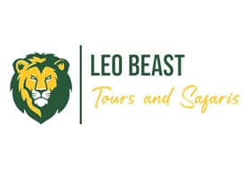 Leo Beast Tours and Safaris