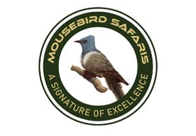 Mousebird Safaris