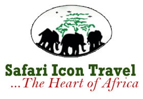 Safari Icon Travel