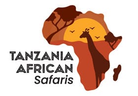 Tanzania African Safari