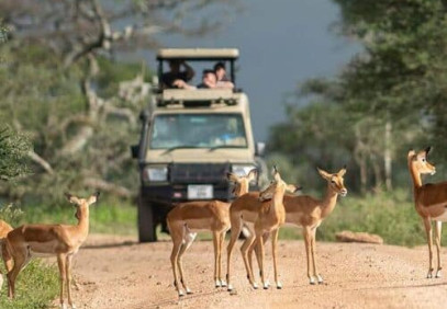 6 Days Tanzania Safari | Best for Serengeti Migration Adventure