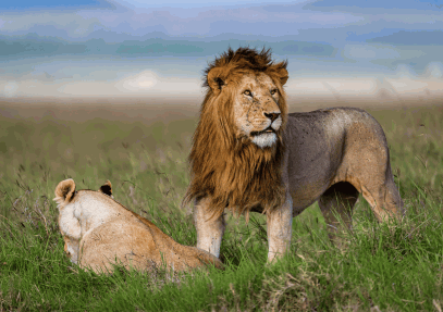 2-Day Tanzania Budget Camping Safari