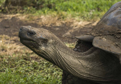 7-Day Galapagos Essentials