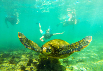 12-Day The Best of Ecuador and Galapagos