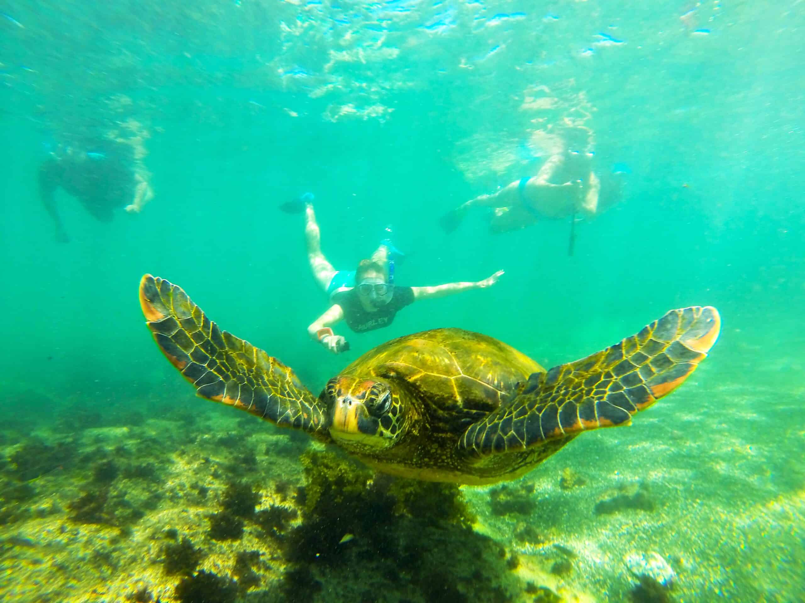 12-Day The Best of Ecuador and Galapagos