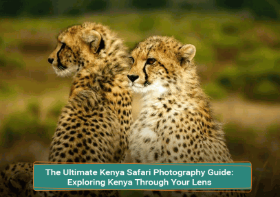 The Ultimate Kenya Safari Photography Guide: Exploring Kenya Through Your Lens