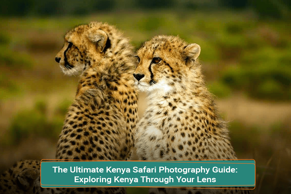The Ultimate Kenya Safari Photography Guide: Exploring Kenya Through Your Lens