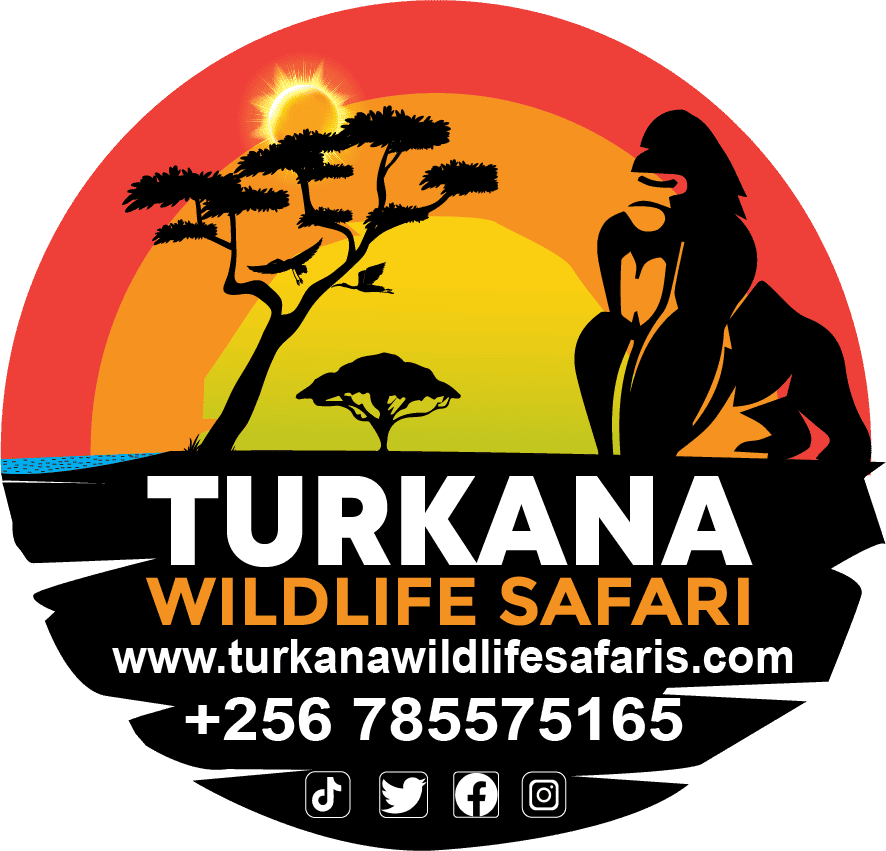 Turkana Wildlife Safaris